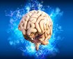 thumb-image-2024-02-29T14:04:24.971Z