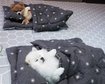 thumb-image-2024-02-29T14:04:25.215Z