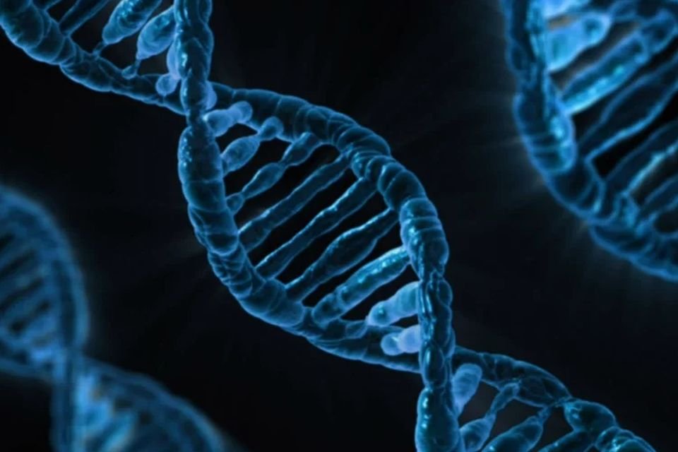 Imagem de Cientista que editou a genética de embriões é condenado à prisão no megacurioso