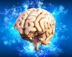thumb-image-2024-02-29T14:04:26.891Z