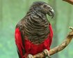thumb-image-2024-02-29T14:04:27.067Z