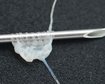 thumb-image-2024-02-29T14:04:28.330Z