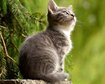 thumb-image-2024-02-29T14:04:28.169Z