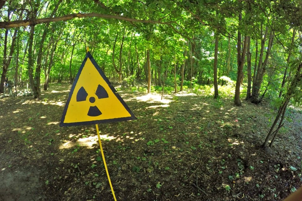 Imagem de Fungo encontrado em Chernobyl pode proteger astronautas no megacurioso