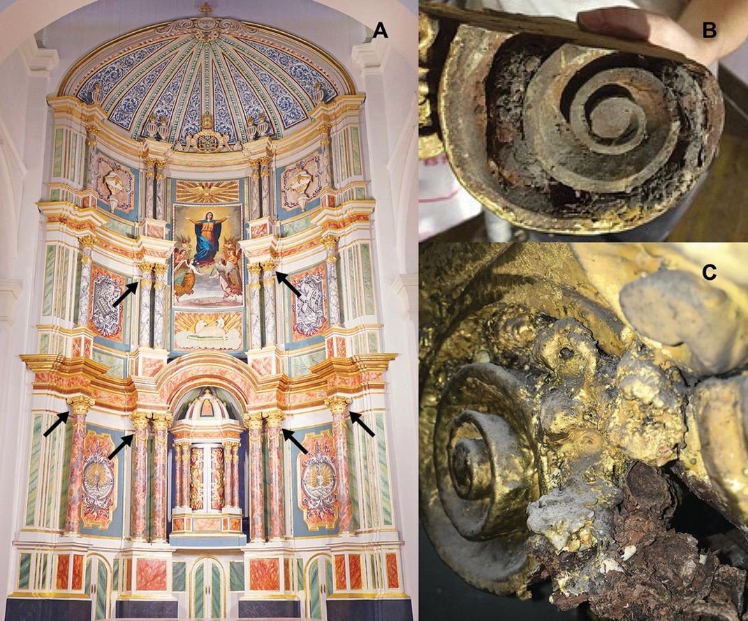 abelhas mumificadas em catedral no Panamá