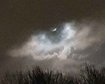 thumb-image-2024-02-29T14:04:30.475Z