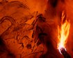 thumb-image-2024-02-29T14:04:30.612Z