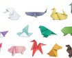 thumb-image-2024-02-29T14:04:30.962Z