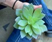 thumb-image-2024-02-29T14:04:31.327Z
