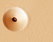 thumb-image-2024-02-29T14:04:31.475Z