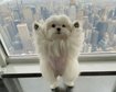 thumb-image-2024-02-29T14:04:32.414Z