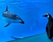 thumb-image-2024-02-29T14:04:32.991Z