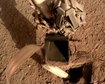 thumb-image-2024-02-29T14:04:32.816Z