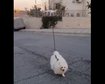 thumb-image-2024-02-29T14:04:33.301Z