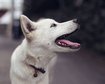 thumb-image-2024-02-29T14:04:34.586Z