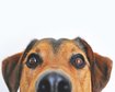 thumb-image-2024-02-29T14:04:35.240Z