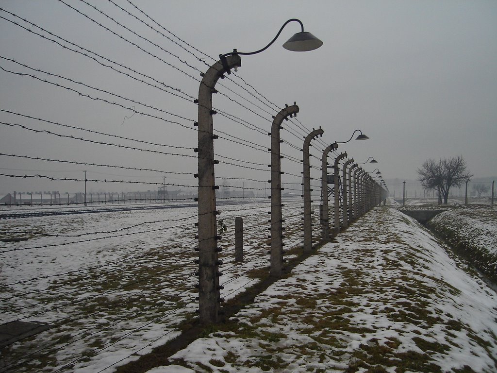 Imagem de Arqueólogos revelam campo de concentração nazista em solo britânico no megacurioso