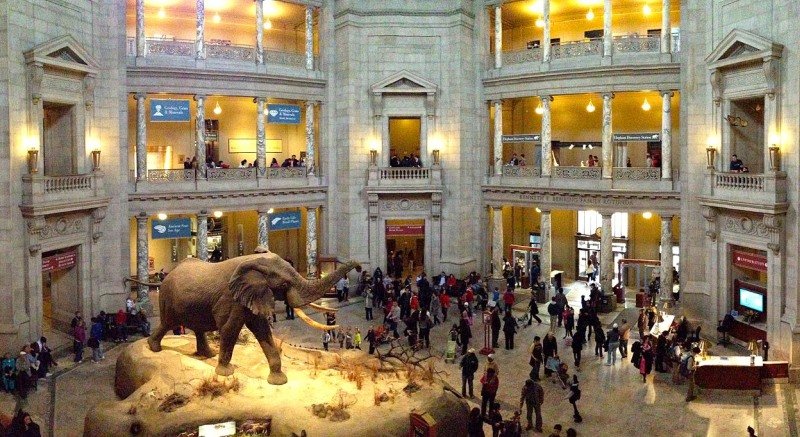 Museu Nacional de História Natural Smithsonian