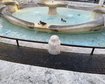 thumb-image-2024-02-29T14:04:36.035Z