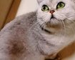 thumb-image-2024-02-29T14:04:36.334Z