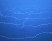thumb-image-2024-02-29T14:04:36.695Z