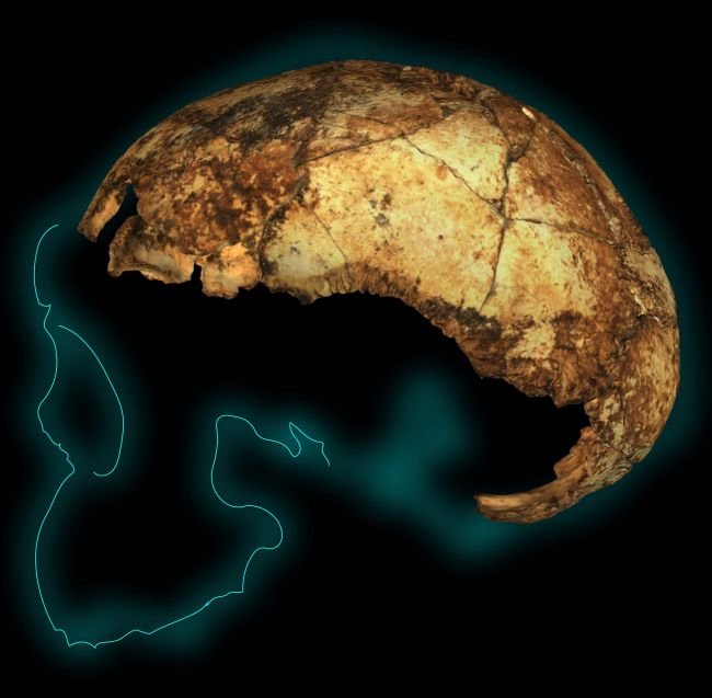 Fragmento de crânio de criança foi encontrado na África