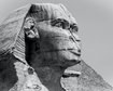 thumb-image-2024-02-29T14:04:37.461Z