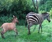 thumb-image-2024-02-29T14:04:37.803Z