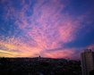 thumb-image-2024-02-29T14:04:37.451Z