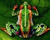 thumb-image-2024-02-29T14:04:38.403Z