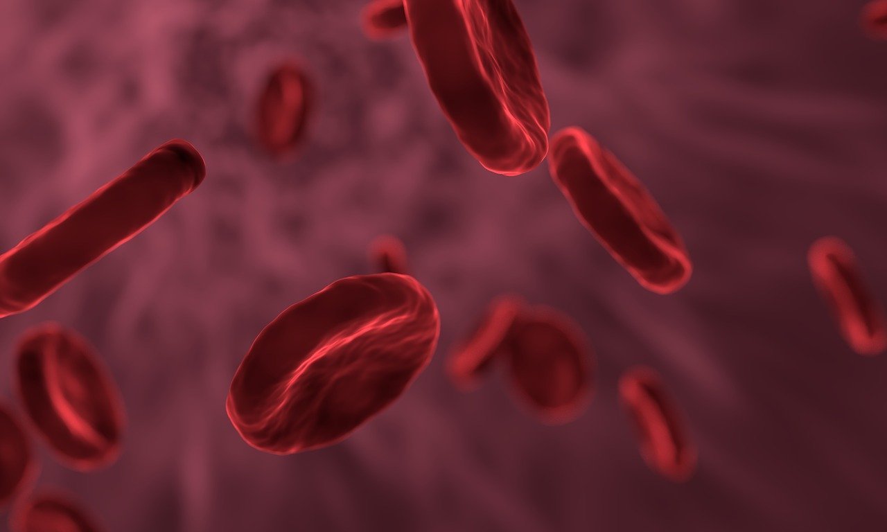 Infectados com coronavírus estão apresentando coágulos sanguíneos (Fonte: Pixabay / Divulgação)