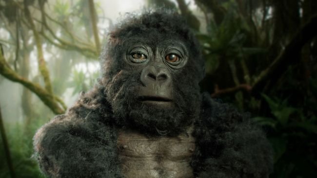 O jovem gorila robô que capturou imagens incríveis do grupo de gorilas-das-montanhas (Fonte: John Dawner Productions / Reprodução)