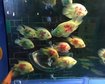 thumb-image-2024-02-29T14:04:39.664Z