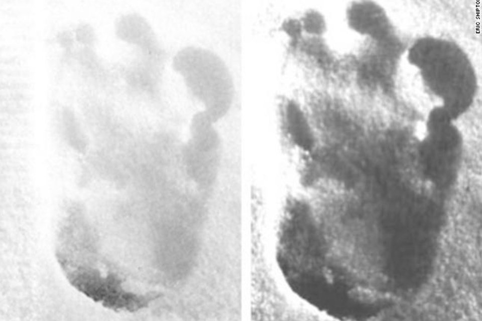 Imagem de O pedaço de um Yeti e a conclusão científica de uma lenda no megacurioso