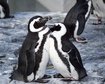 thumb-image-2024-02-29T14:04:40.162Z