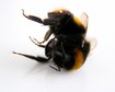 thumb-image-2024-02-29T14:04:40.204Z