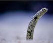 thumb-image-2024-02-29T14:04:40.543Z