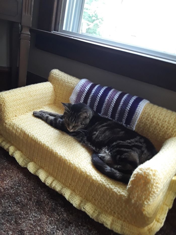 Sofá de crochê para gatos é a nova tendência durante a quarentena