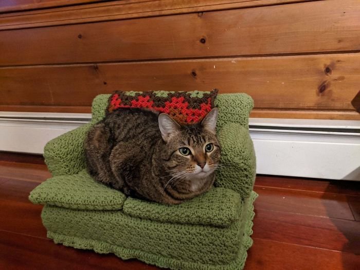 Sofá de crochê para gatos é a nova tendência durante a quarentena