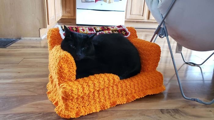 Sofá de crochê para gatos é a nova tendência durante a quarentena