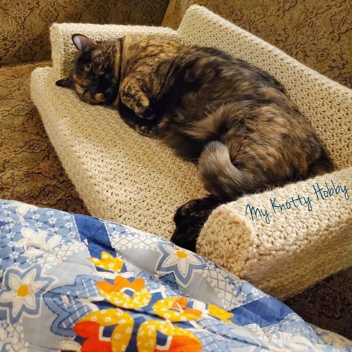 Sofá de crochê para gatos é a nova tendência durante a quarentena