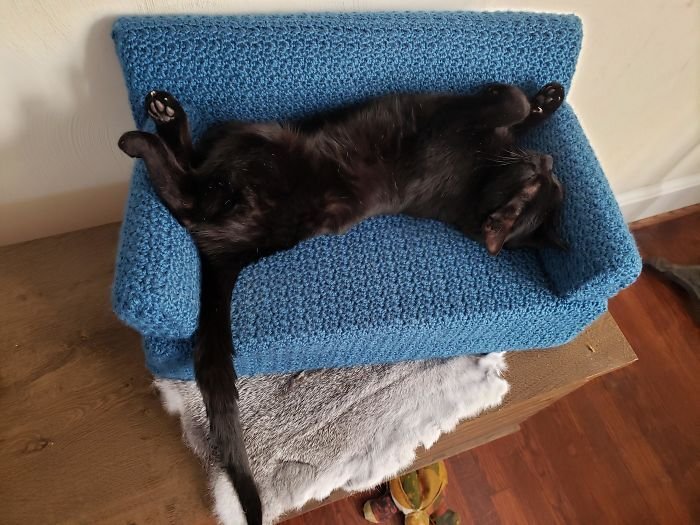 Sofá de crochê para gatos é a nova tendência durante a quarentena