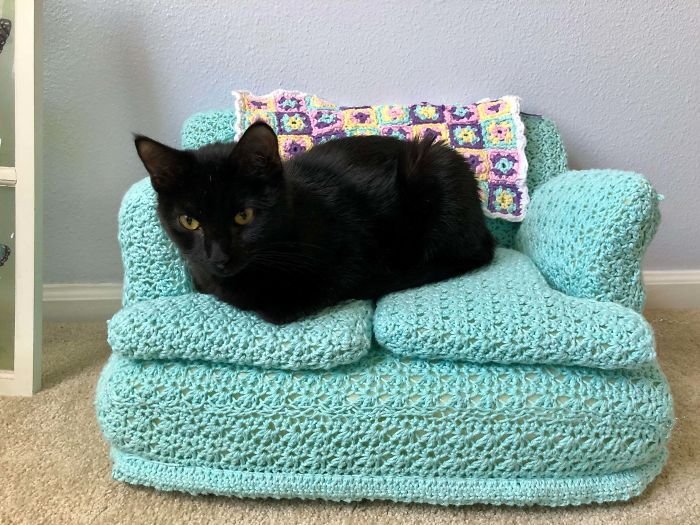 Sofá de crochê para gatos é a nova tendência durante a quarentena