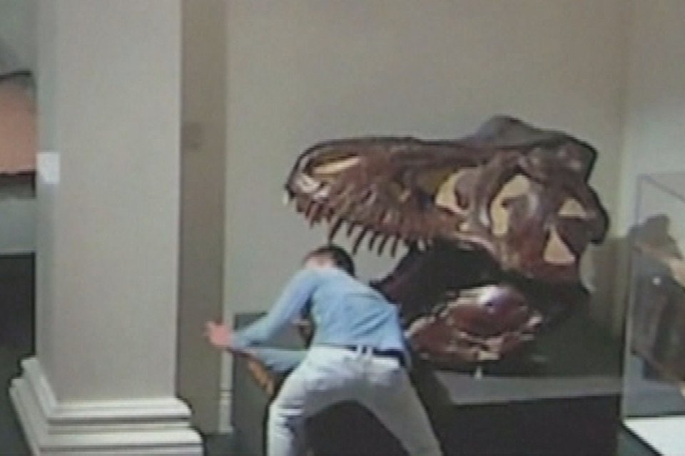 Imagem de Invasor é filmado tirando selfies com dinossauros em museu fechado no megacurioso