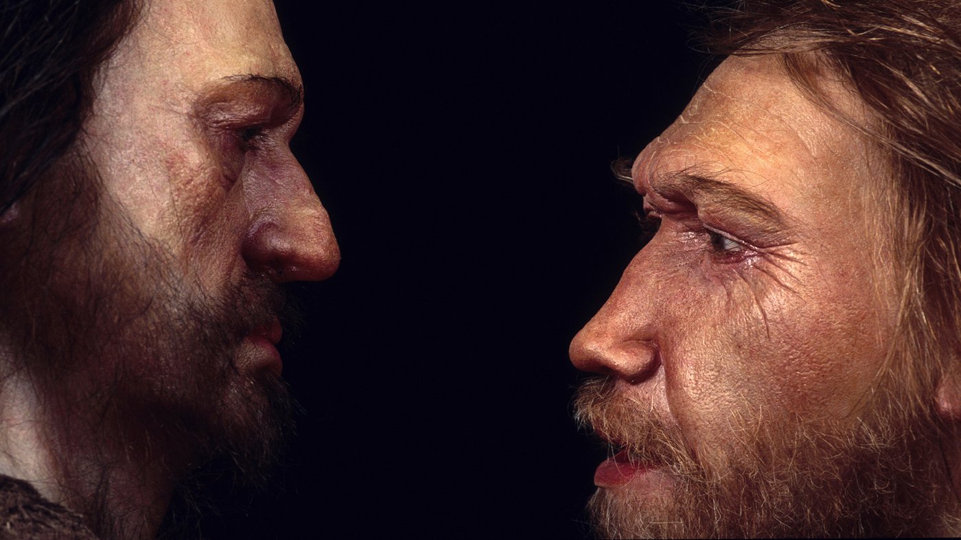 Competição com Homo sapiens foi a responsável pela extinção dos neandertais.