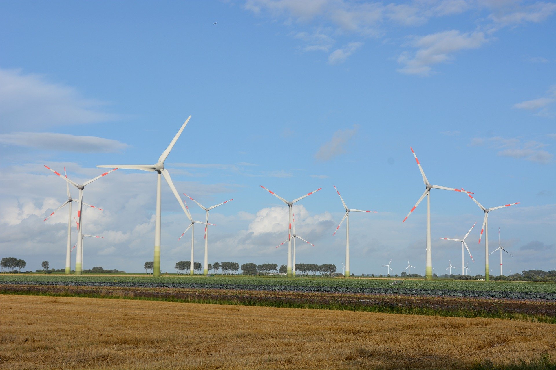 Dinamarca tem tradição em investir em energia limpa.
