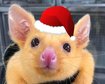 thumb-image-2024-02-29T14:04:43.144Z