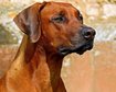 thumb-image-2024-02-29T14:04:43.134Z