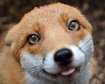 thumb-image-2024-02-29T14:04:43.517Z