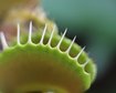 thumb-image-2024-02-29T14:04:44.253Z